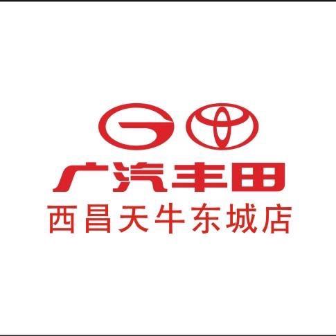 广汽丰田西昌天牛东城店