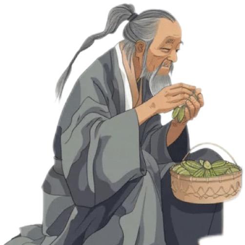 用茶进石出
