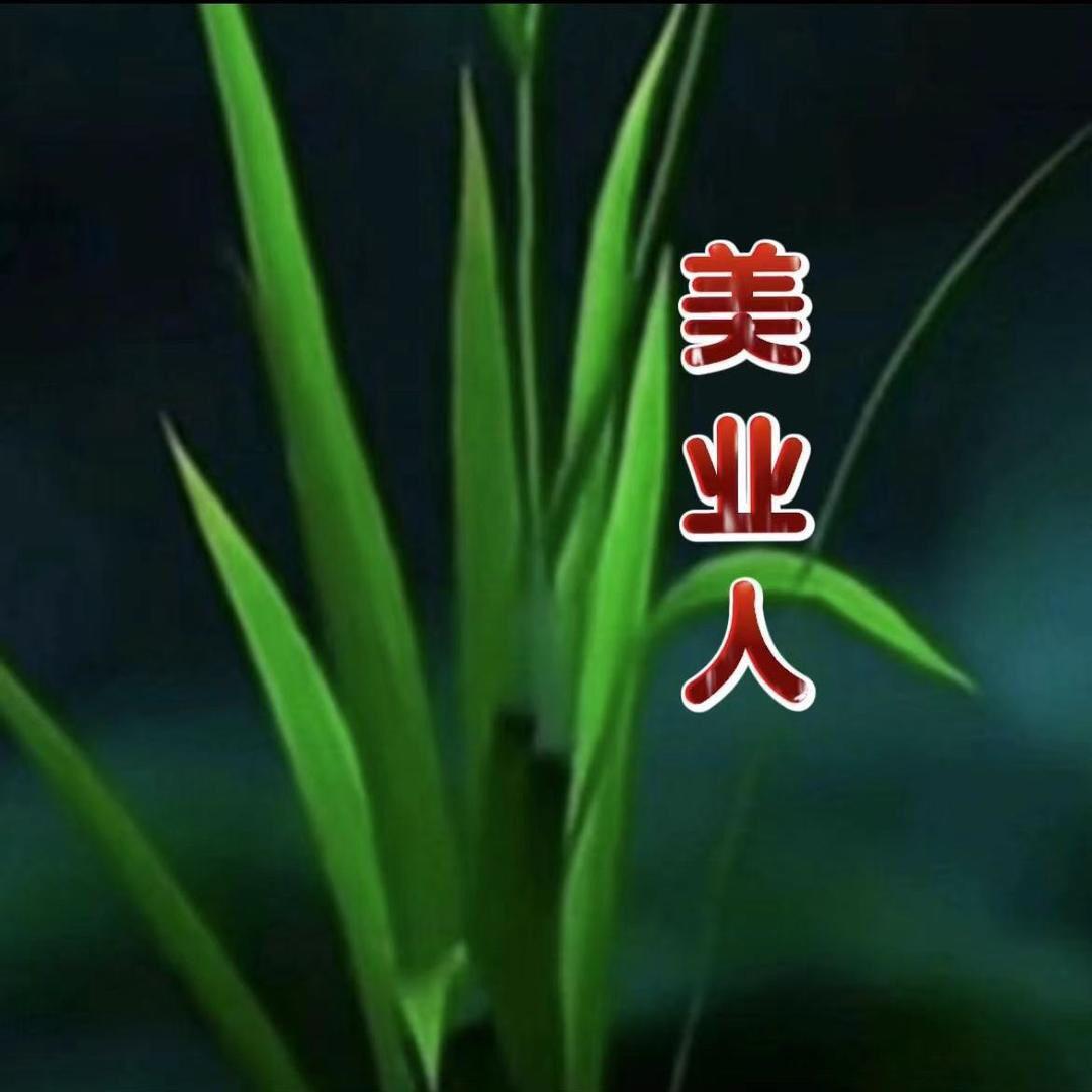 80后的小姨姨@抖音