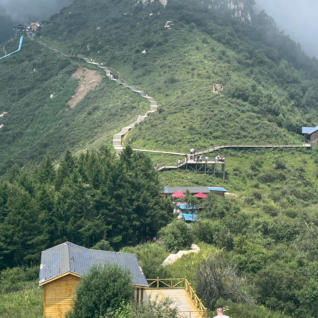 老过年纯手工水饺