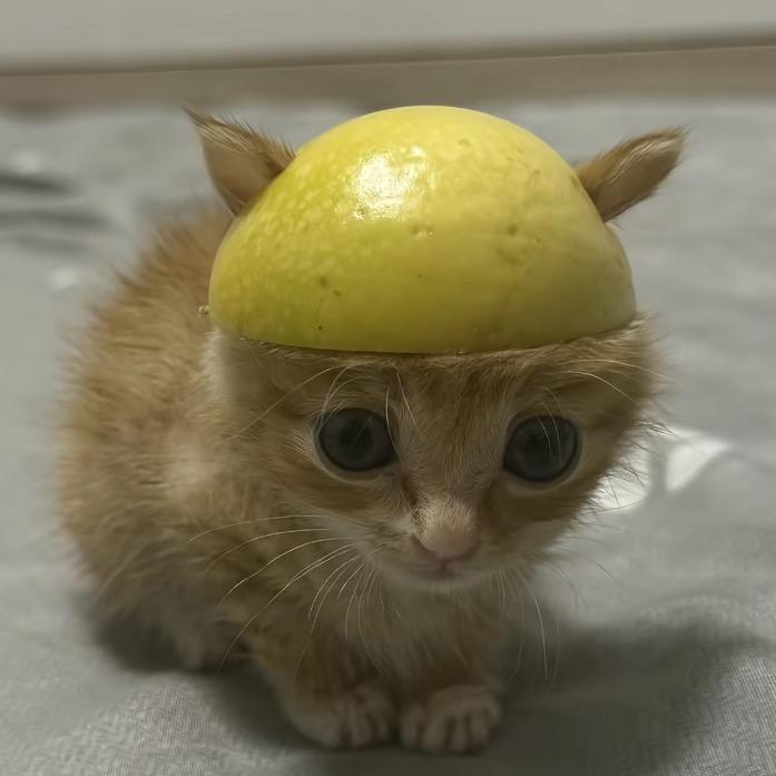 星星