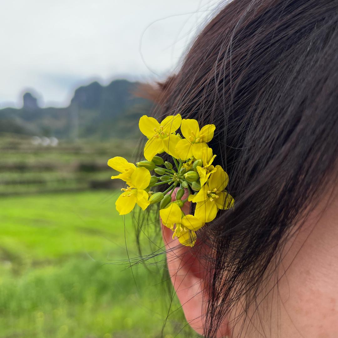 项皮擦