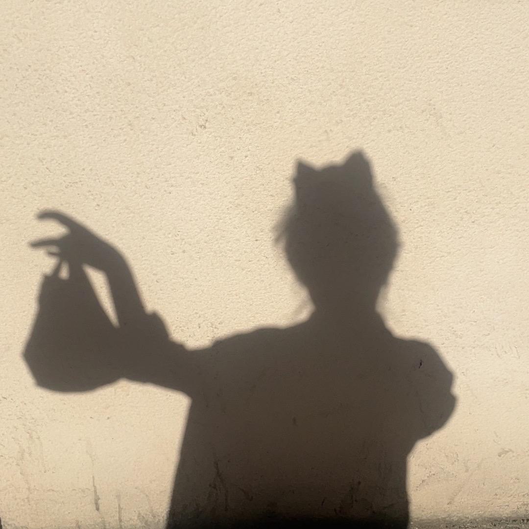 重生之卖佤味鸡jio👒