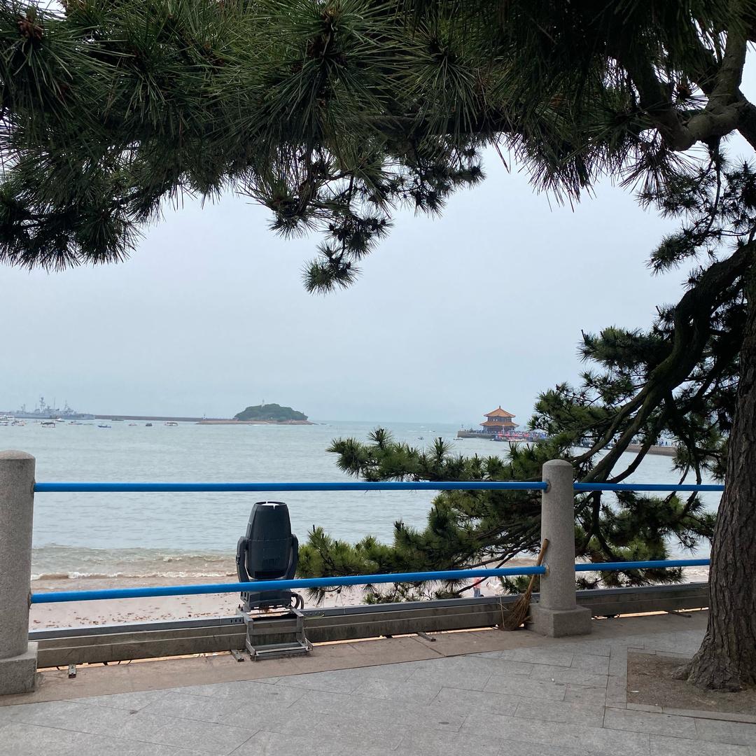 ai山东