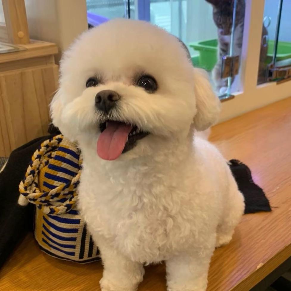 椰子^^