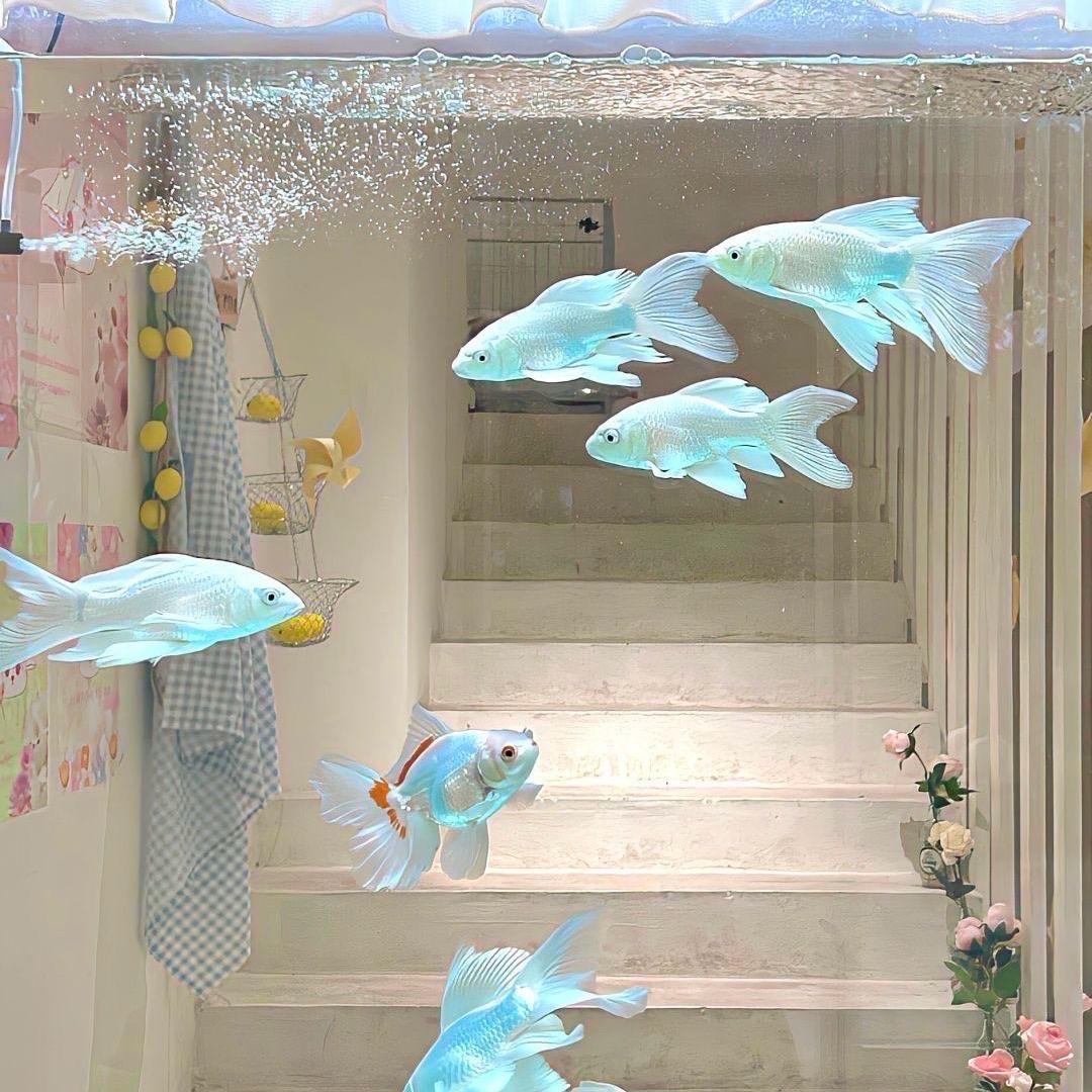 气泡水^