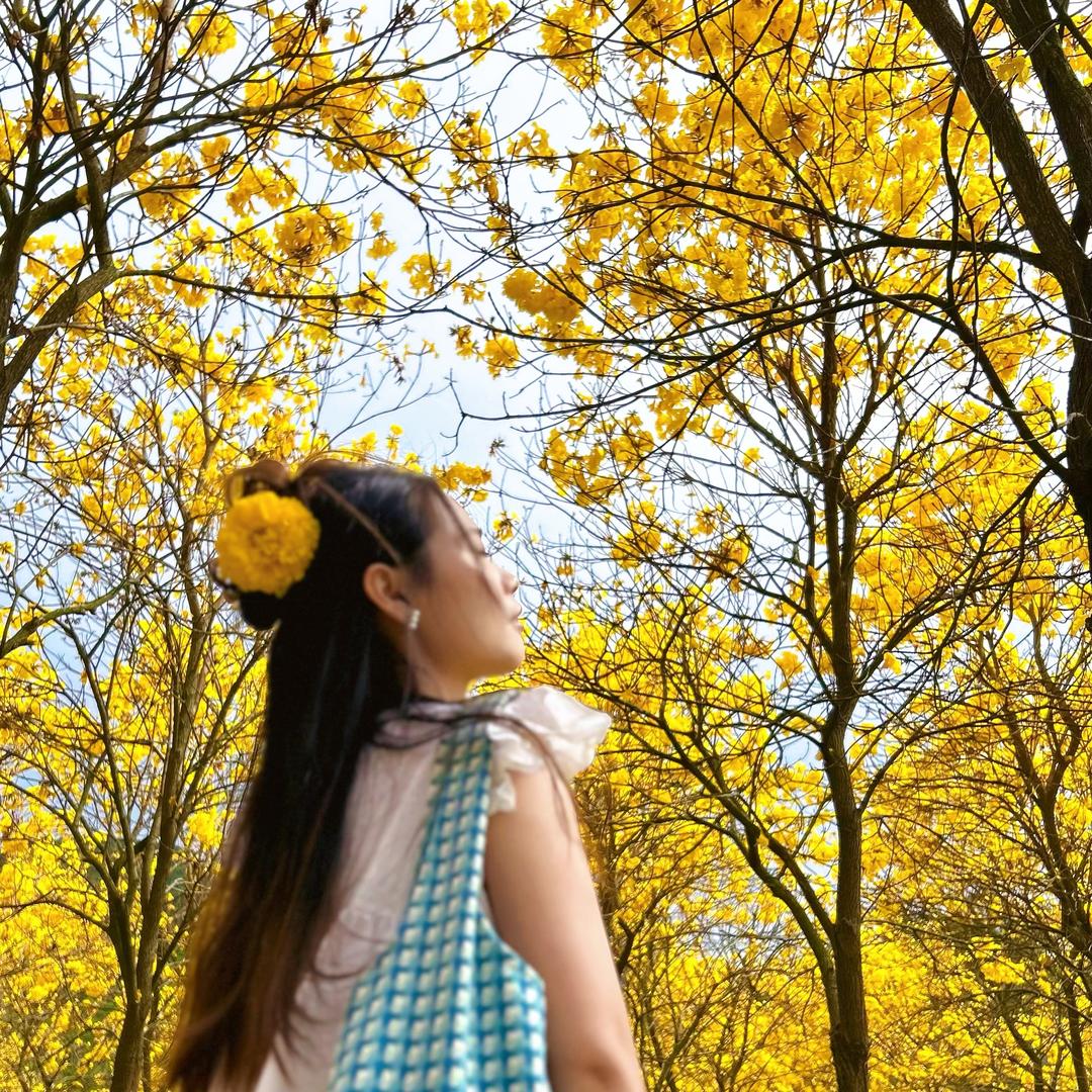 Money的花花小屋