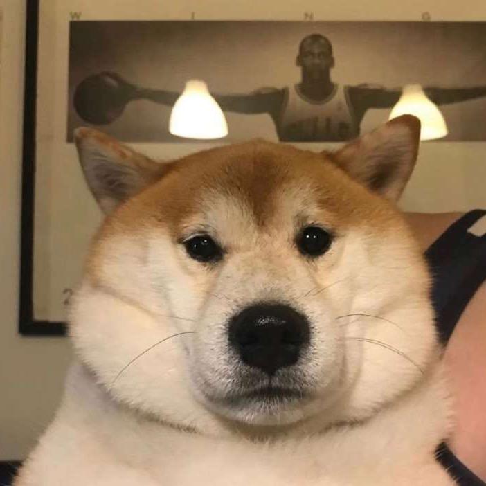 大黄要哭了