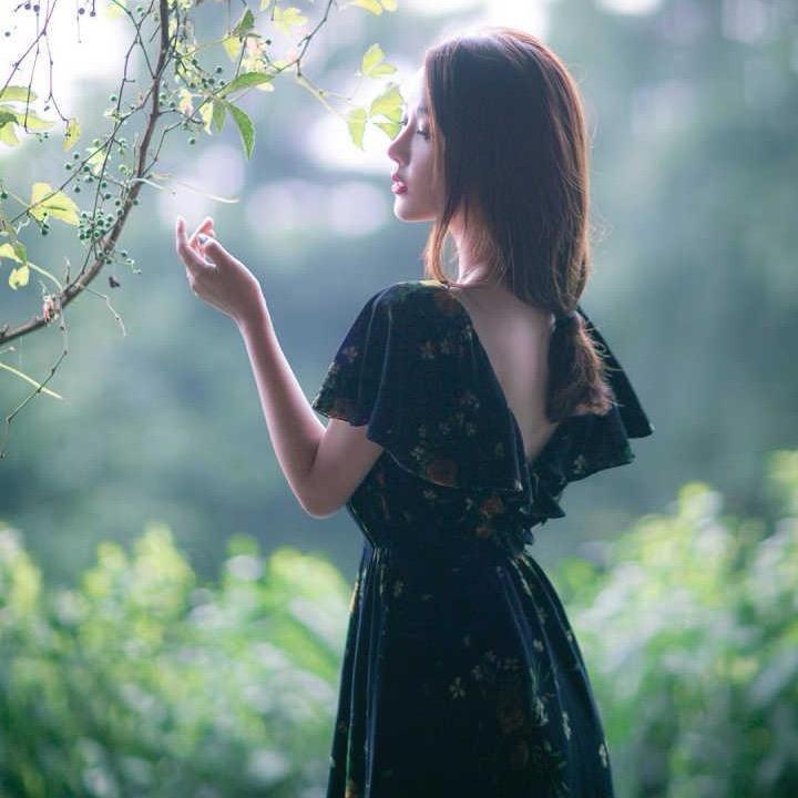 子非鱼、