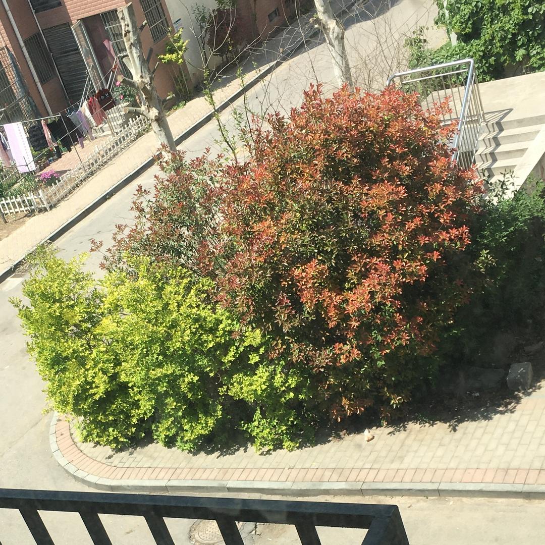 一切皆为虚幻