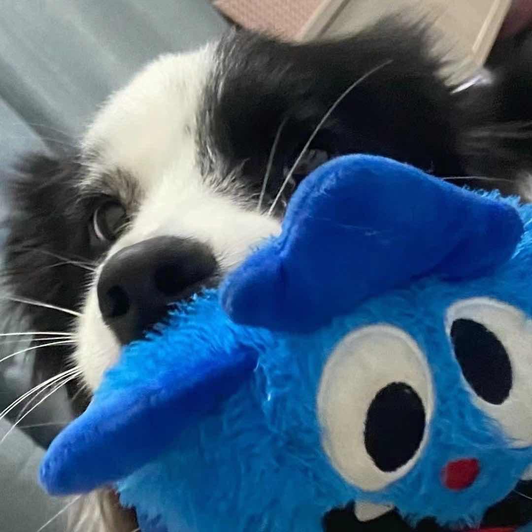 橙