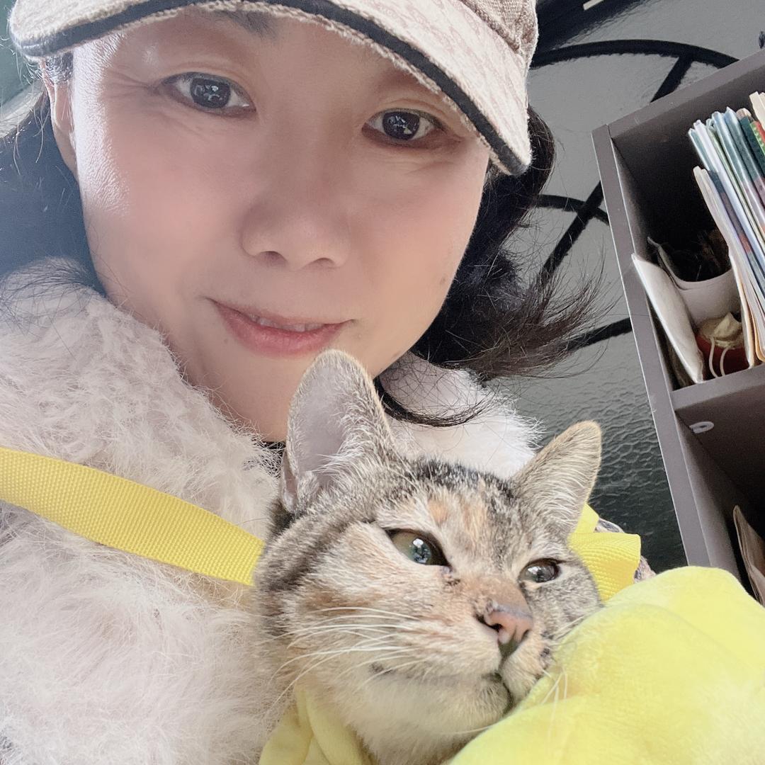 月月妈（每天下午2:50直播）