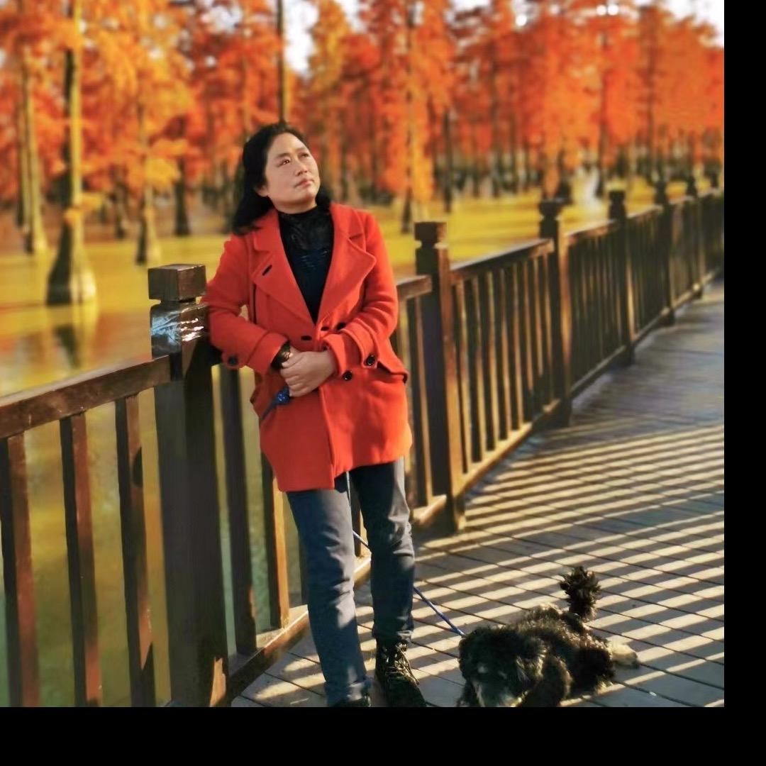 高兴的书适区