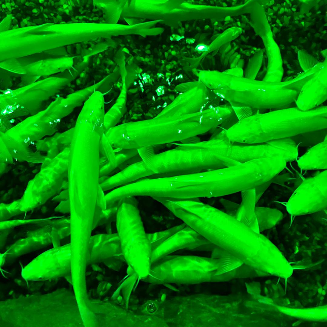 💕人生何其短🧚🏿‍♀️