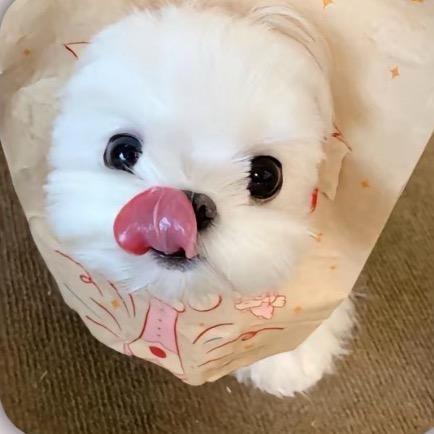 恬欣美甲