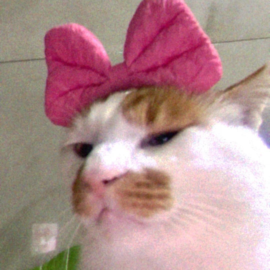 金禧💐