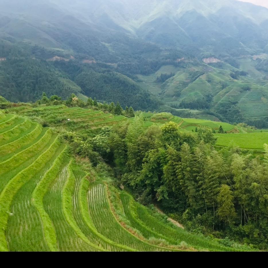 Have a  nice day7048