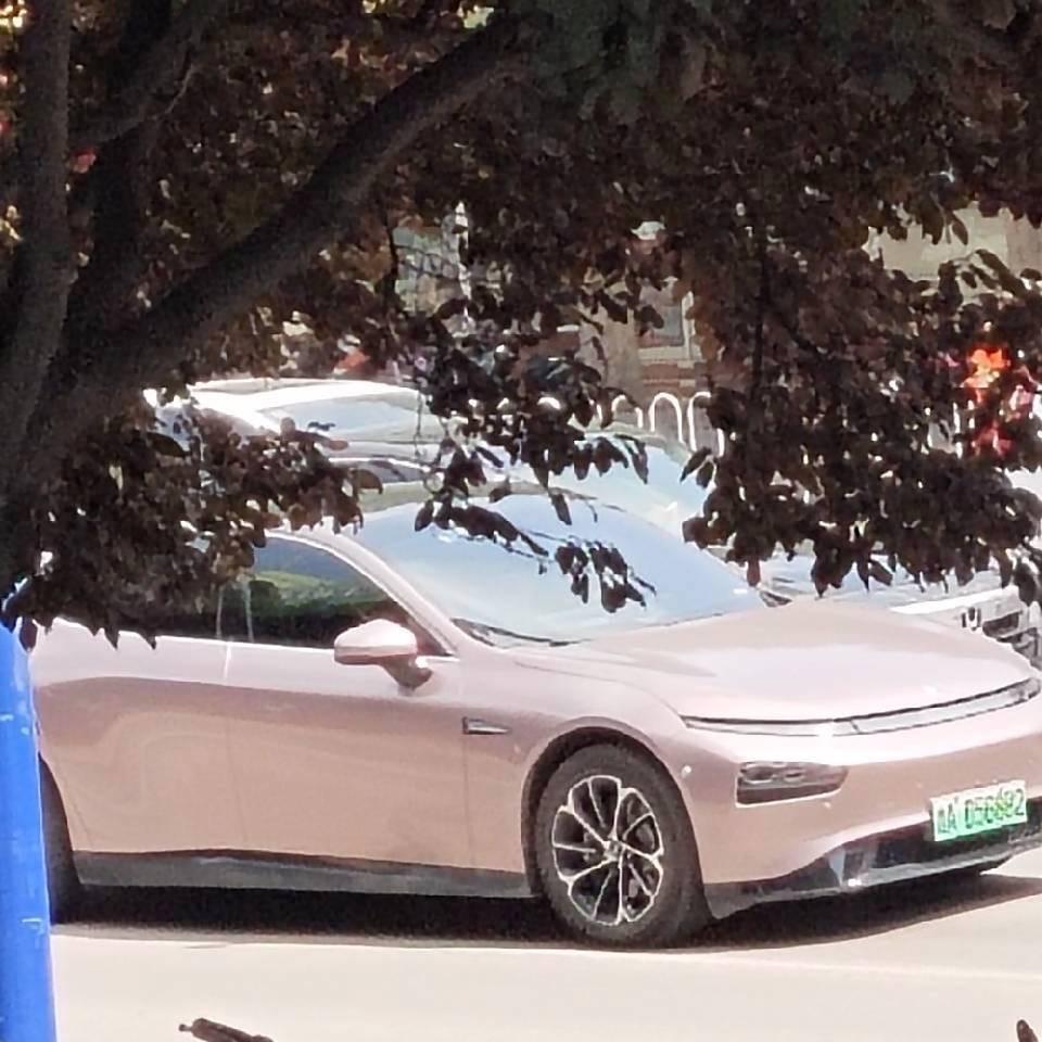 尚👈帆👏琪行