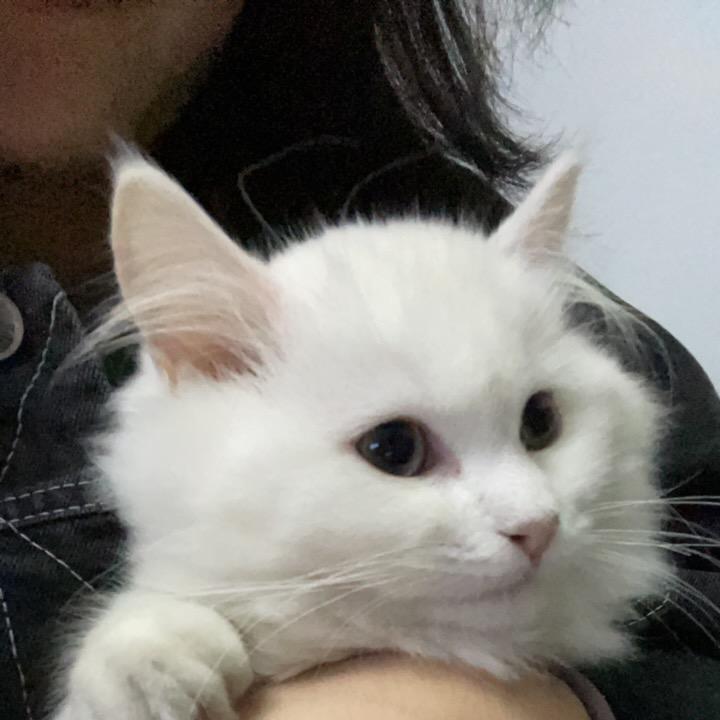 @小小