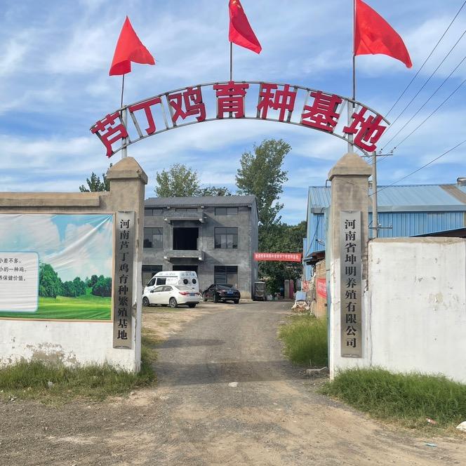 朱厂长，河南芦丁鸡（桂花雀）养殖