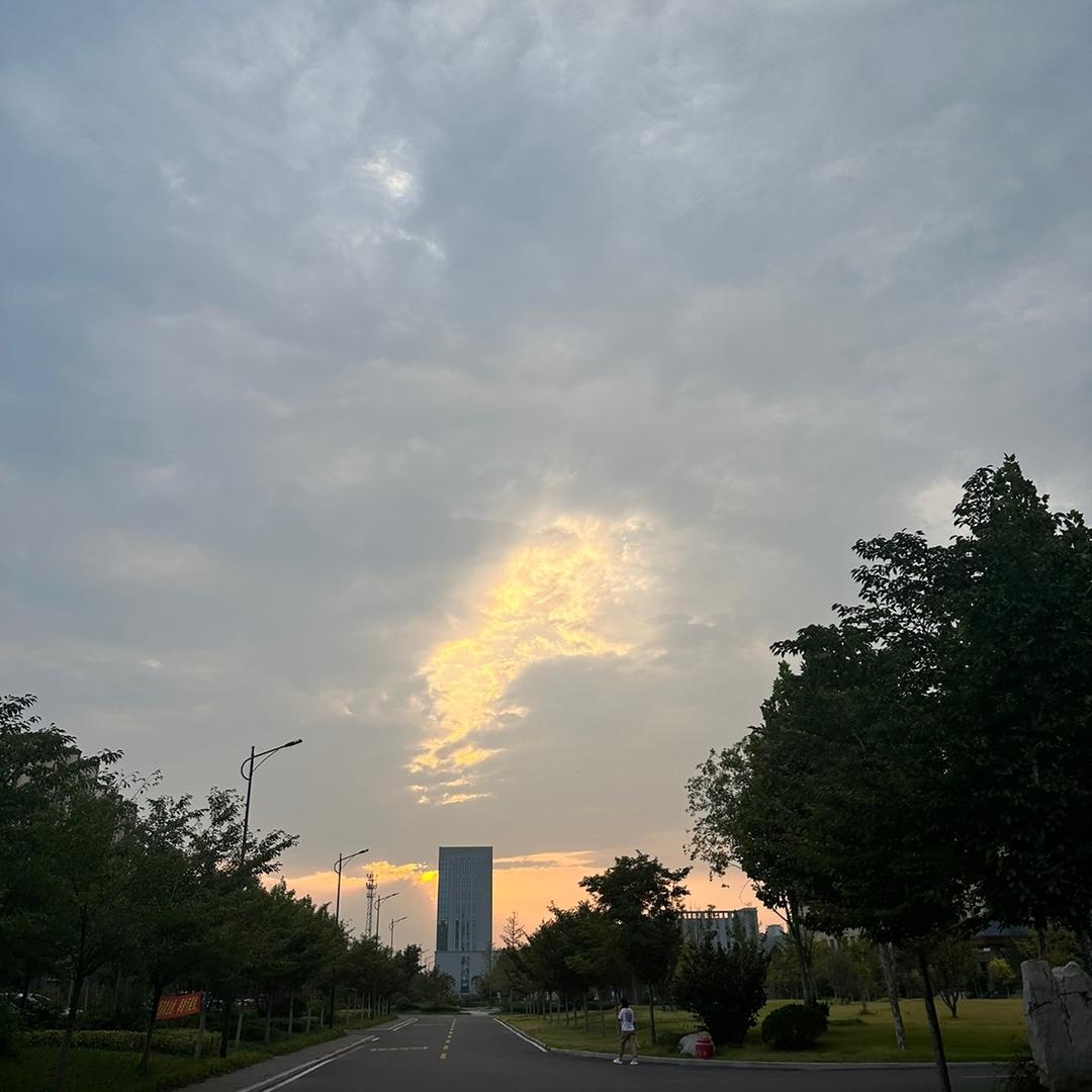 大凤