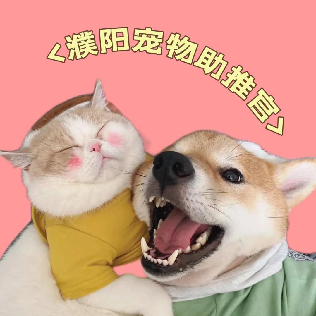 濮阳汪喵小站（明穆宠物行）