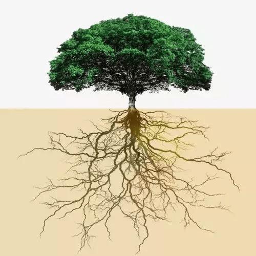 平凡人也有自己天空