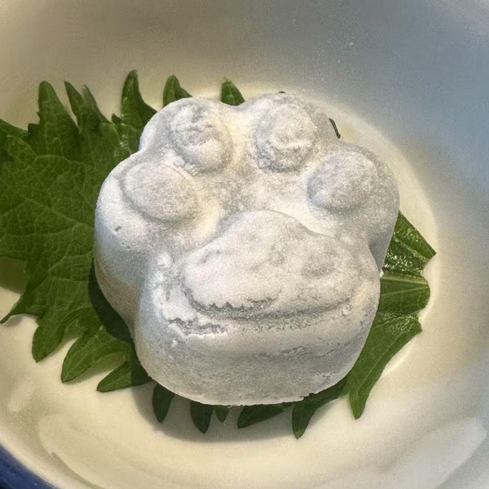 红狼助理