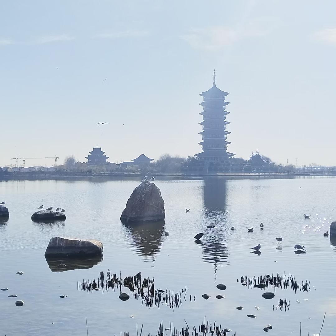 莫忘初心头像