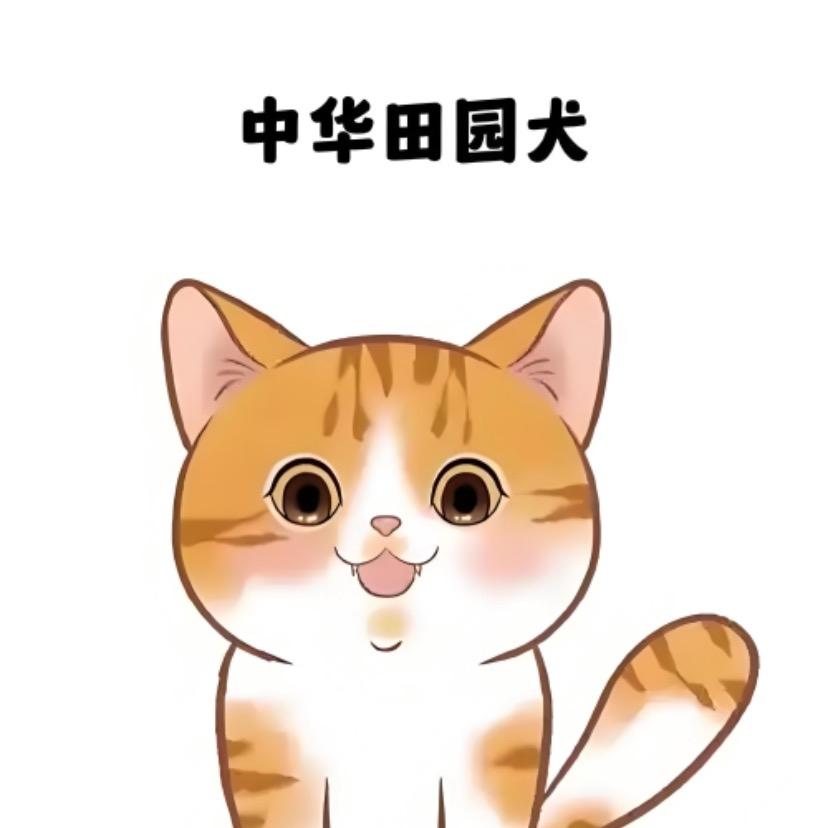 狗市情报站