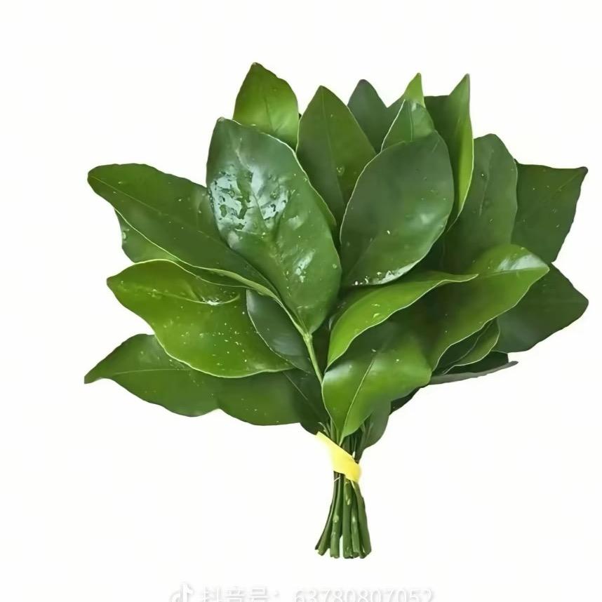 小李小李啊