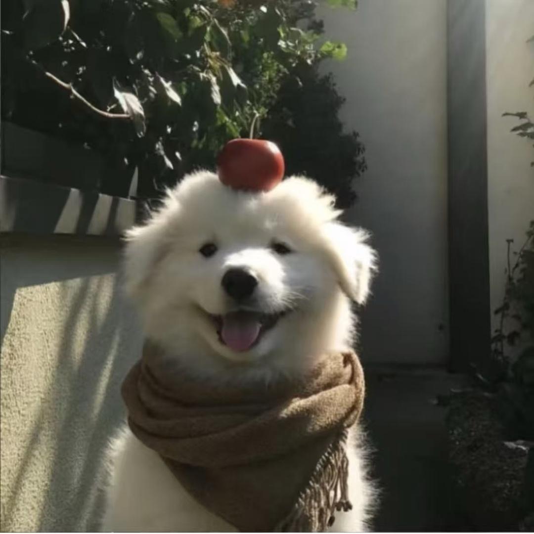 Aaaa刘
