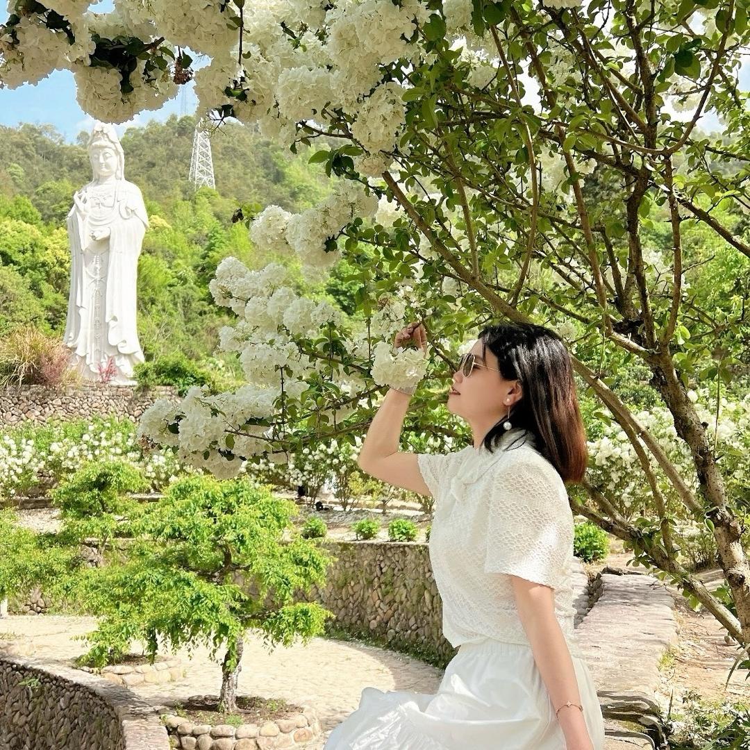 开心乐乐