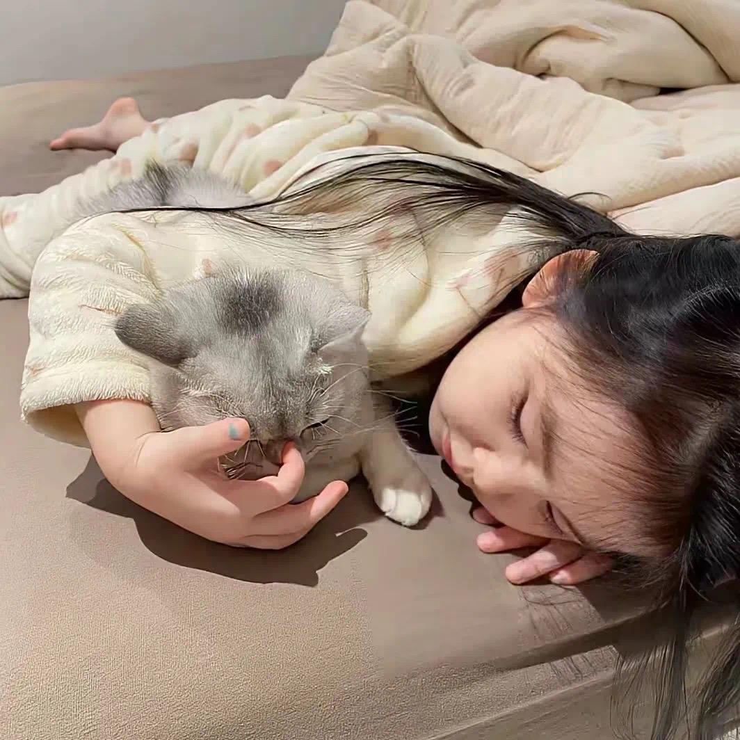 羔