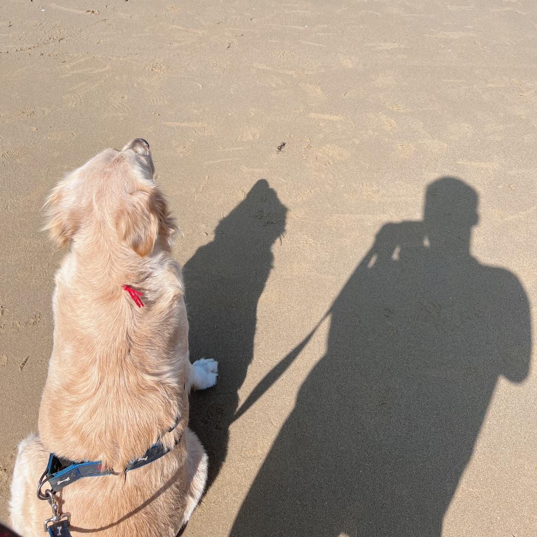 庄海洋