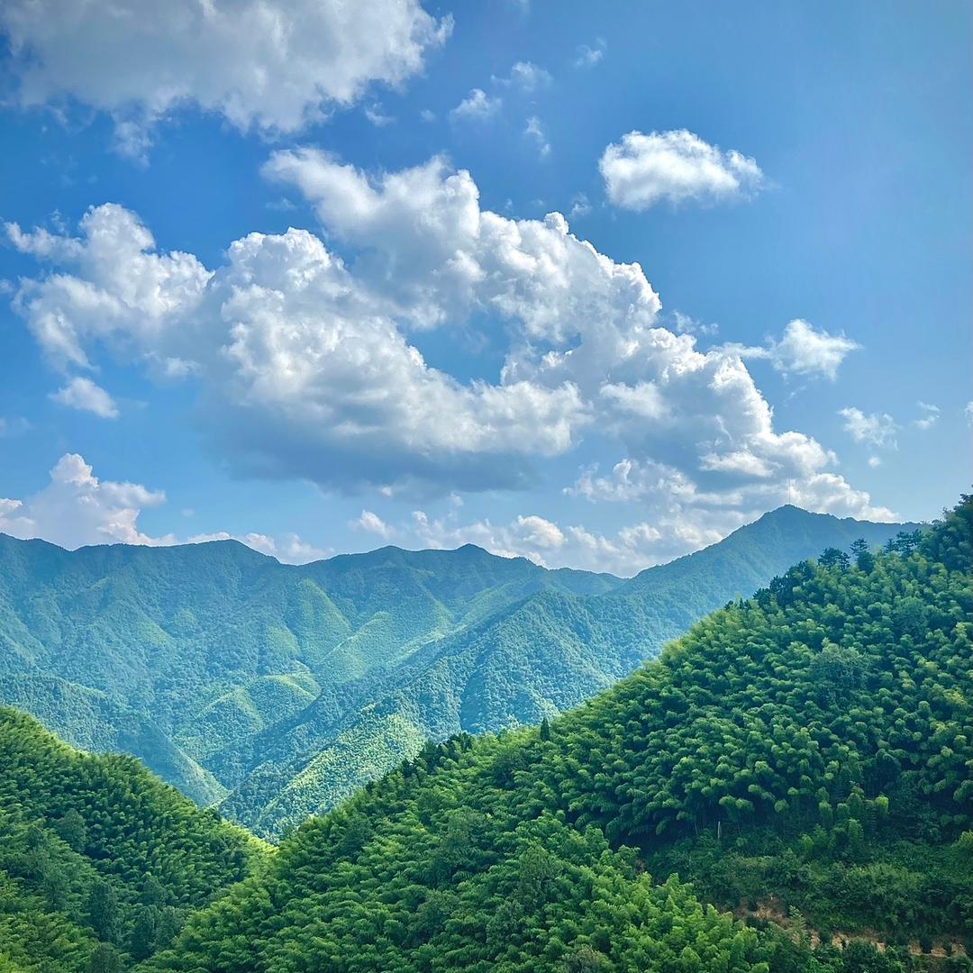 清竹山货
