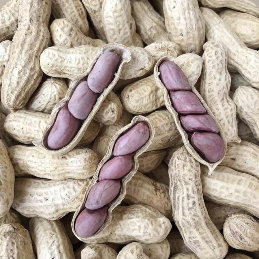 喜馋馋食品