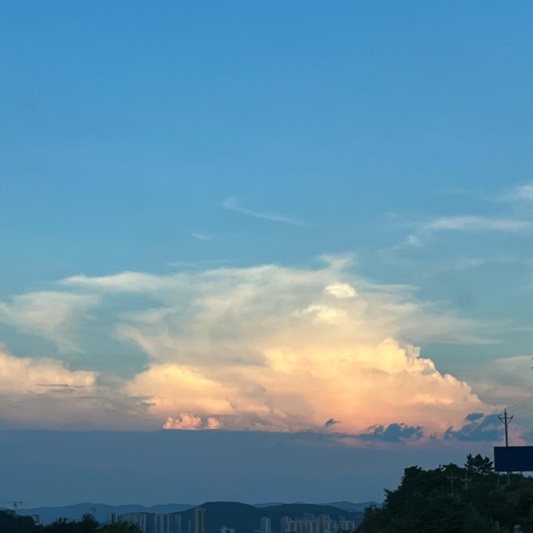 小雨啊虫虫