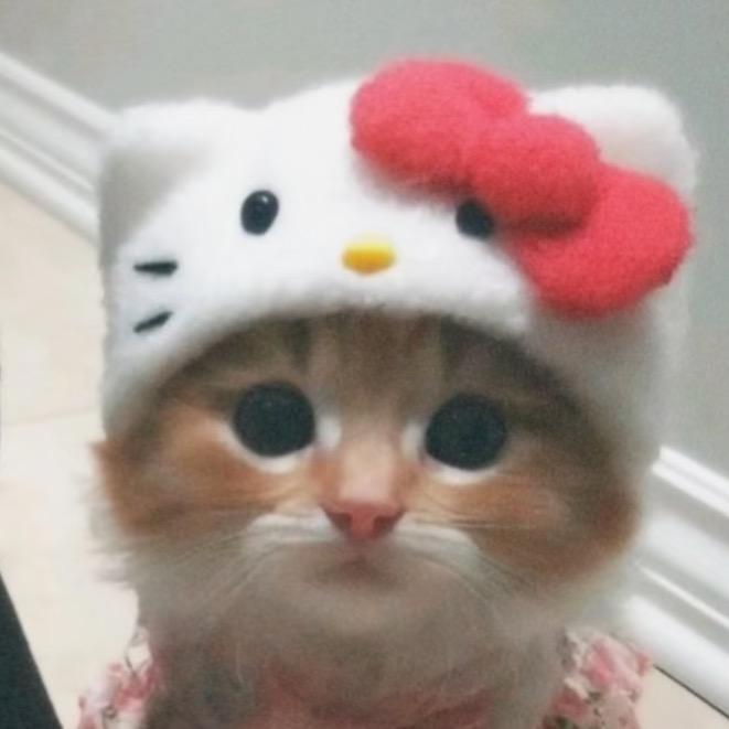 长邱_🧸