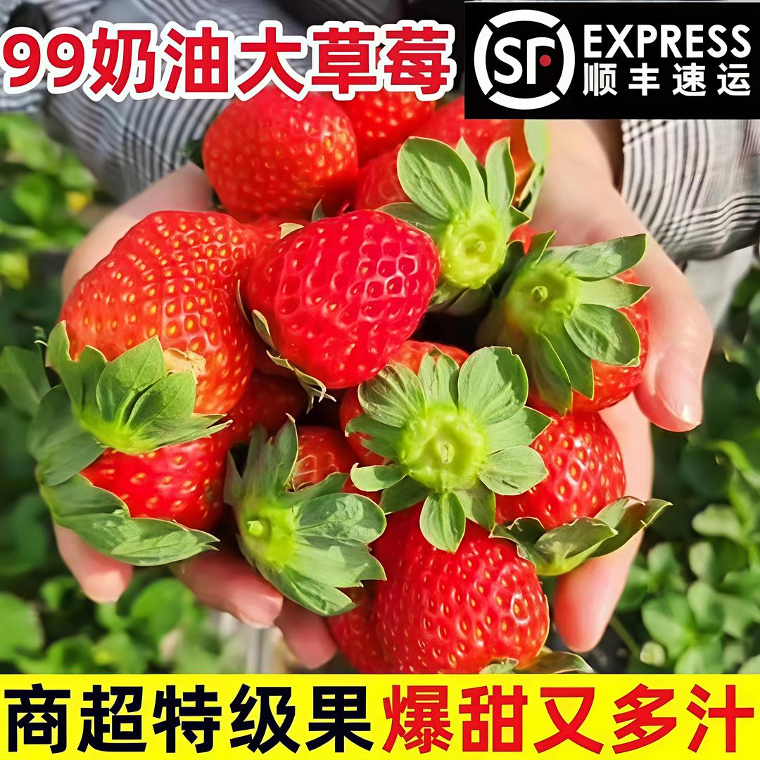 云南富仁农品臻选