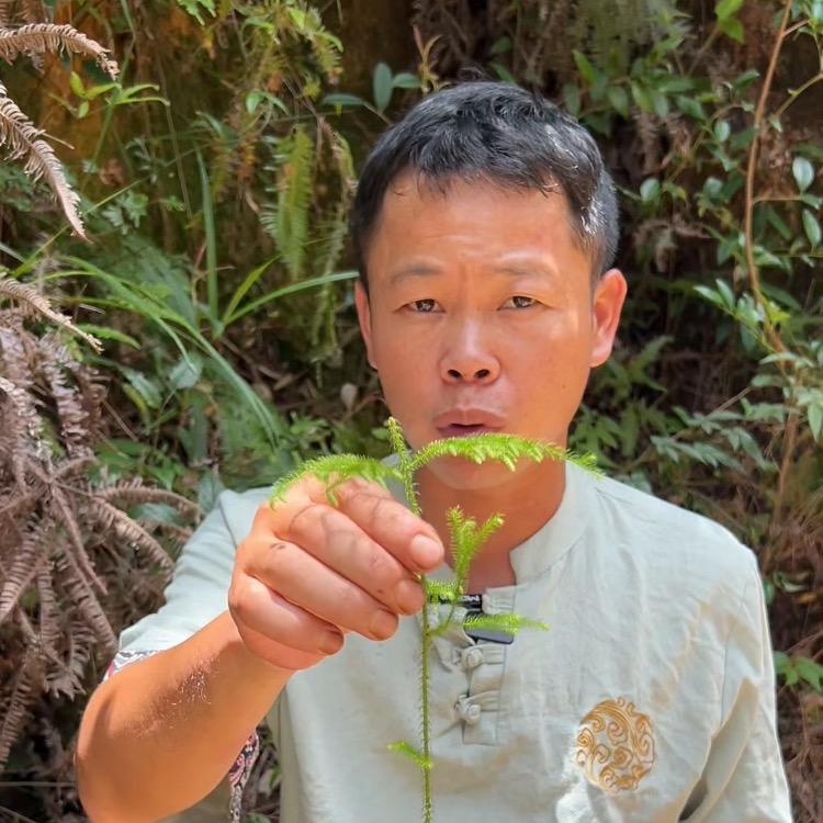 青草兄