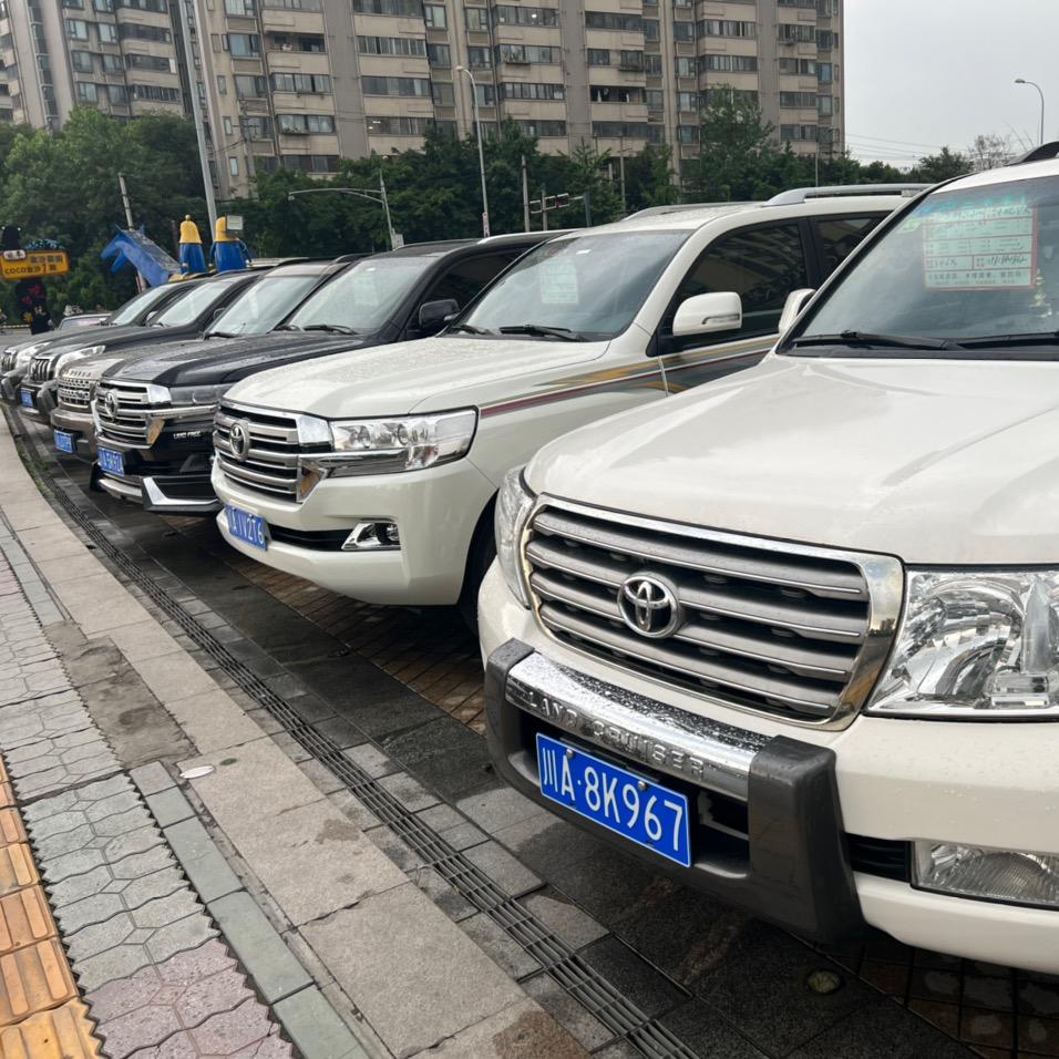 成都勇骏鑫汇二手车销售有限公司