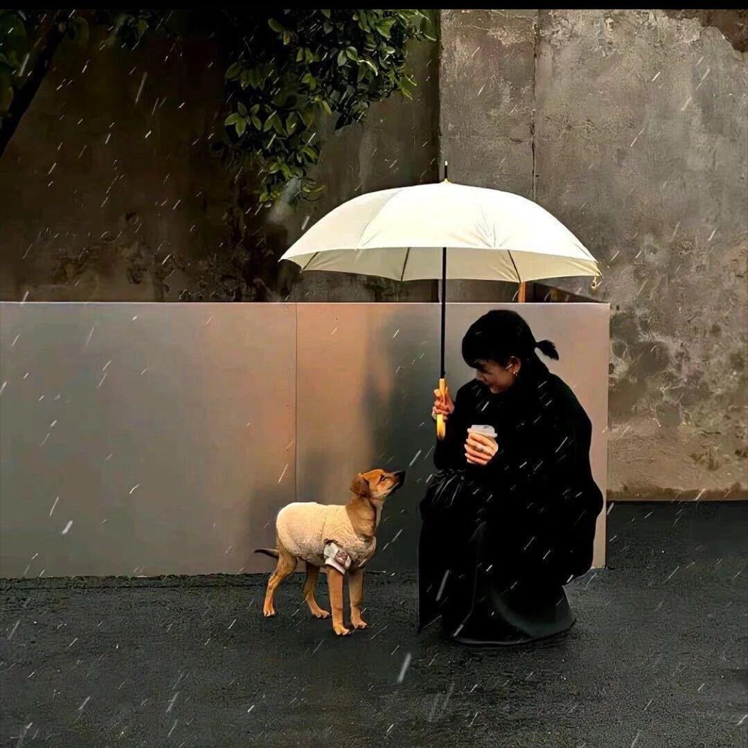 小娇只吃亿点点