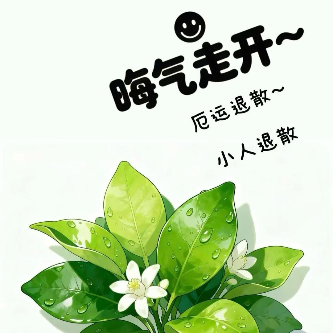 一路向钱