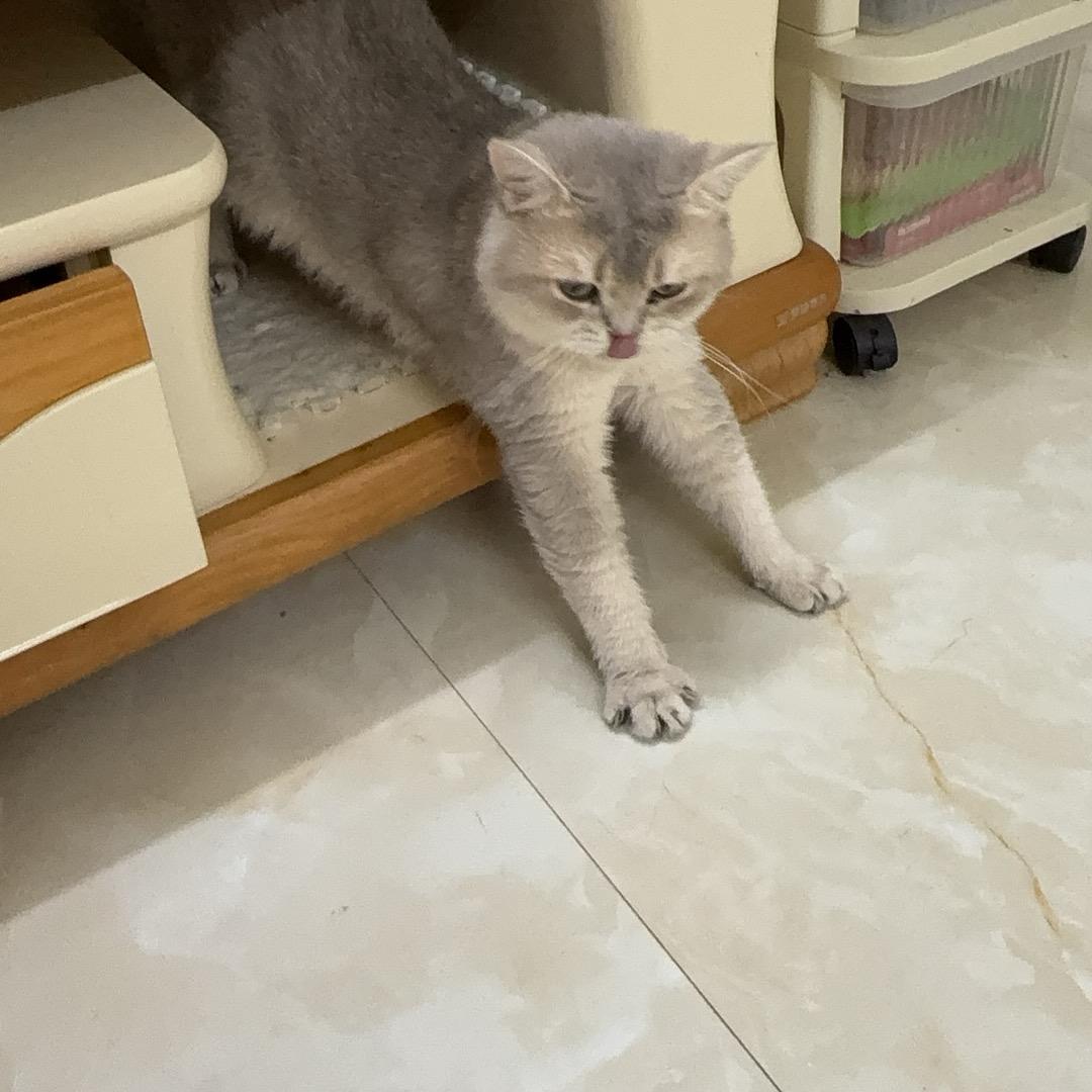 把酒倒满