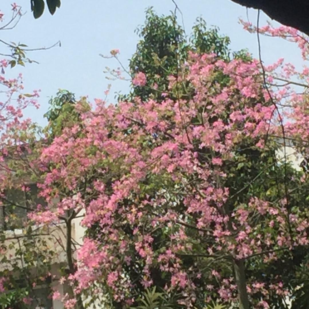 用户健康就是快乐