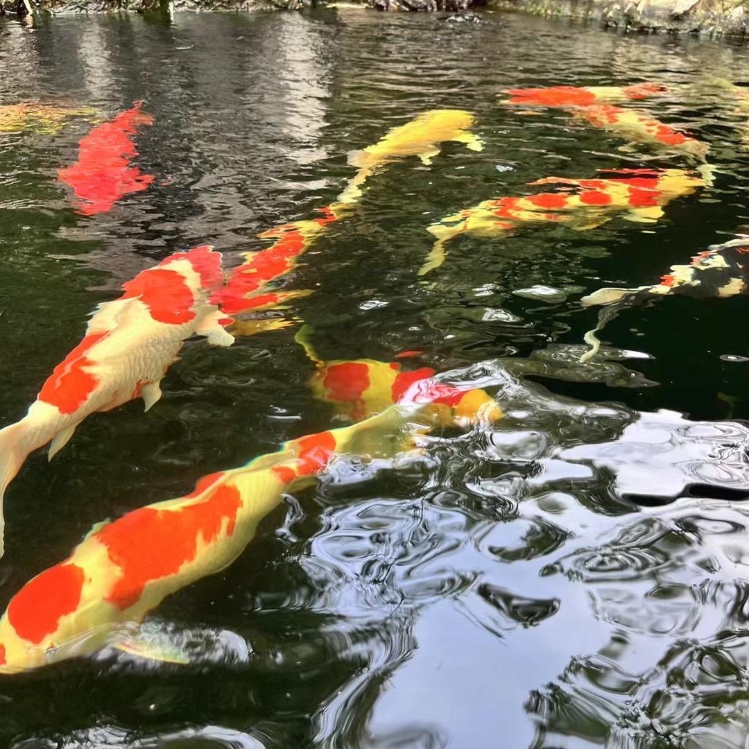 小微文案馆