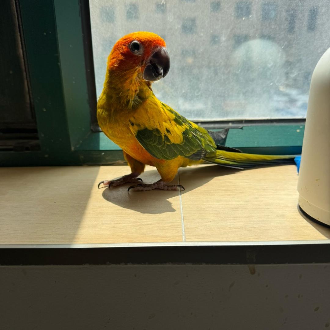 一个努力挣钱的女人