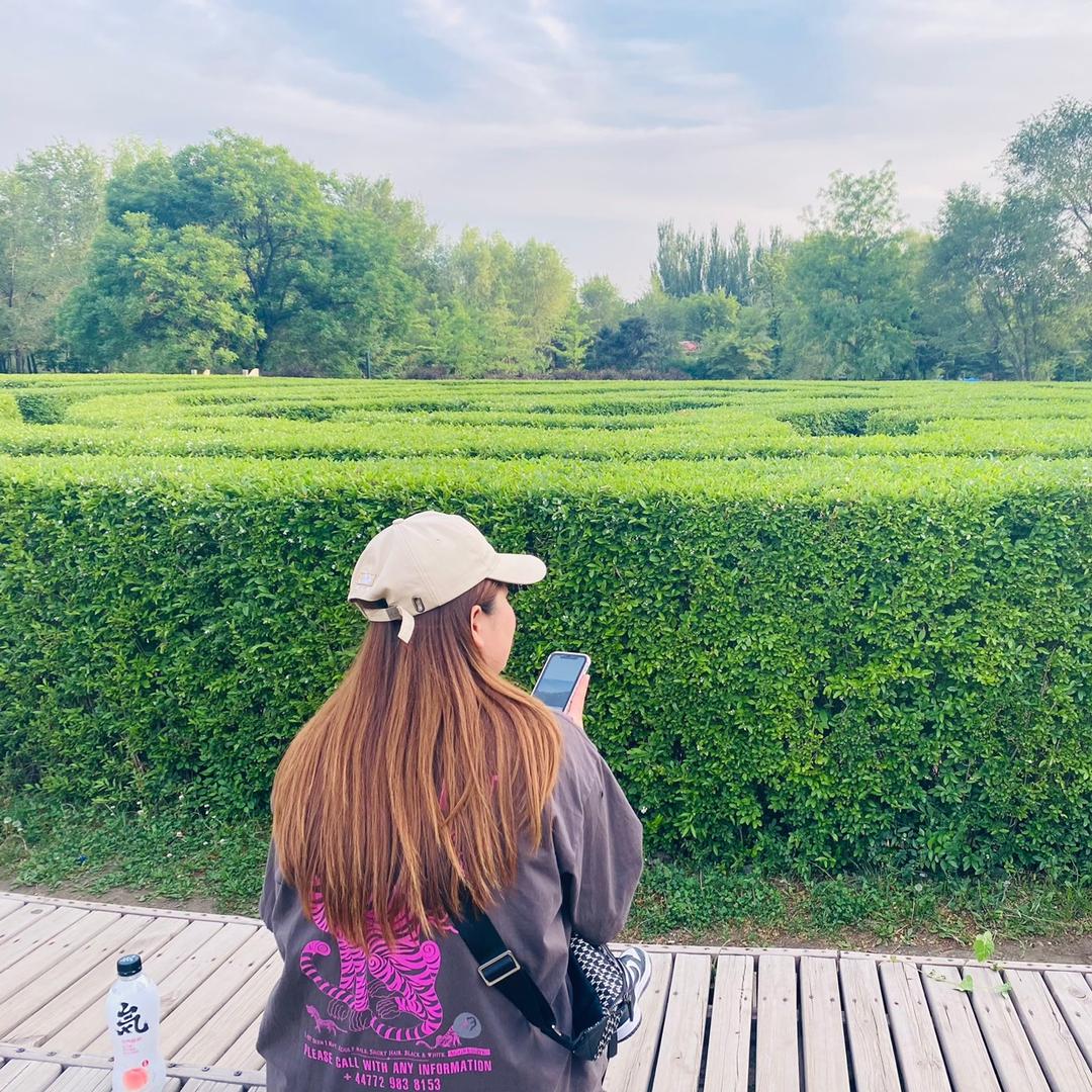 小田的农村日常