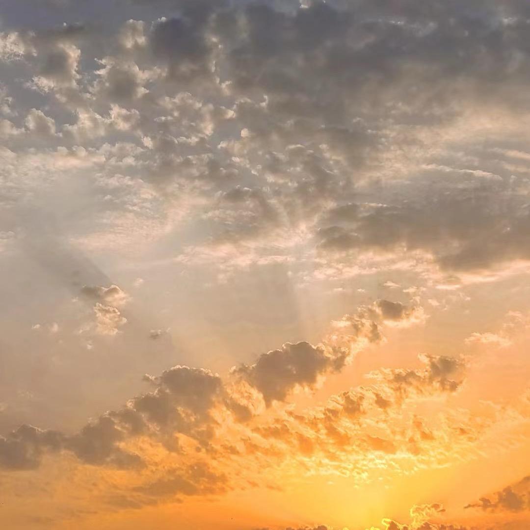 江西迈珀贸易商贸